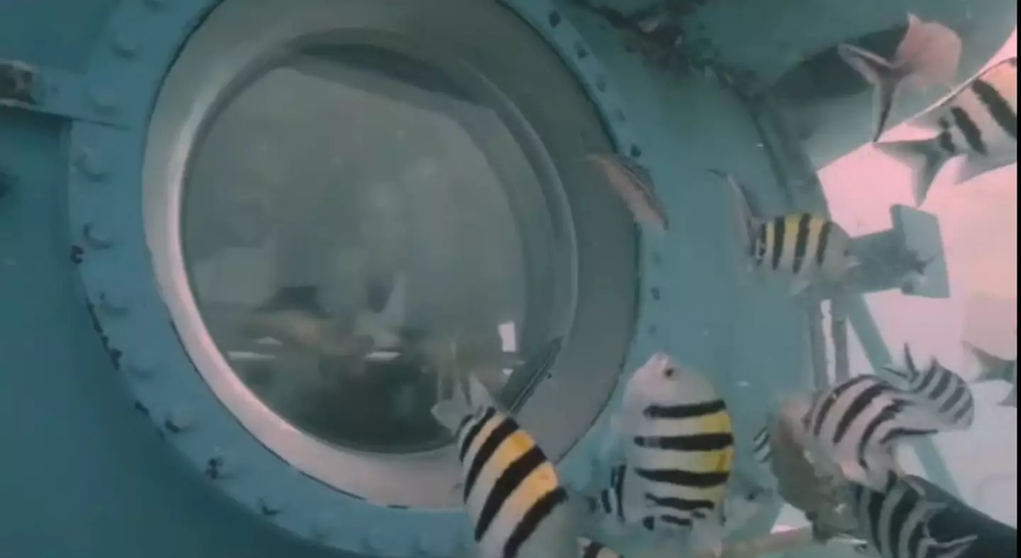 The website promises a spectacular view of the coral reef (Facebook)