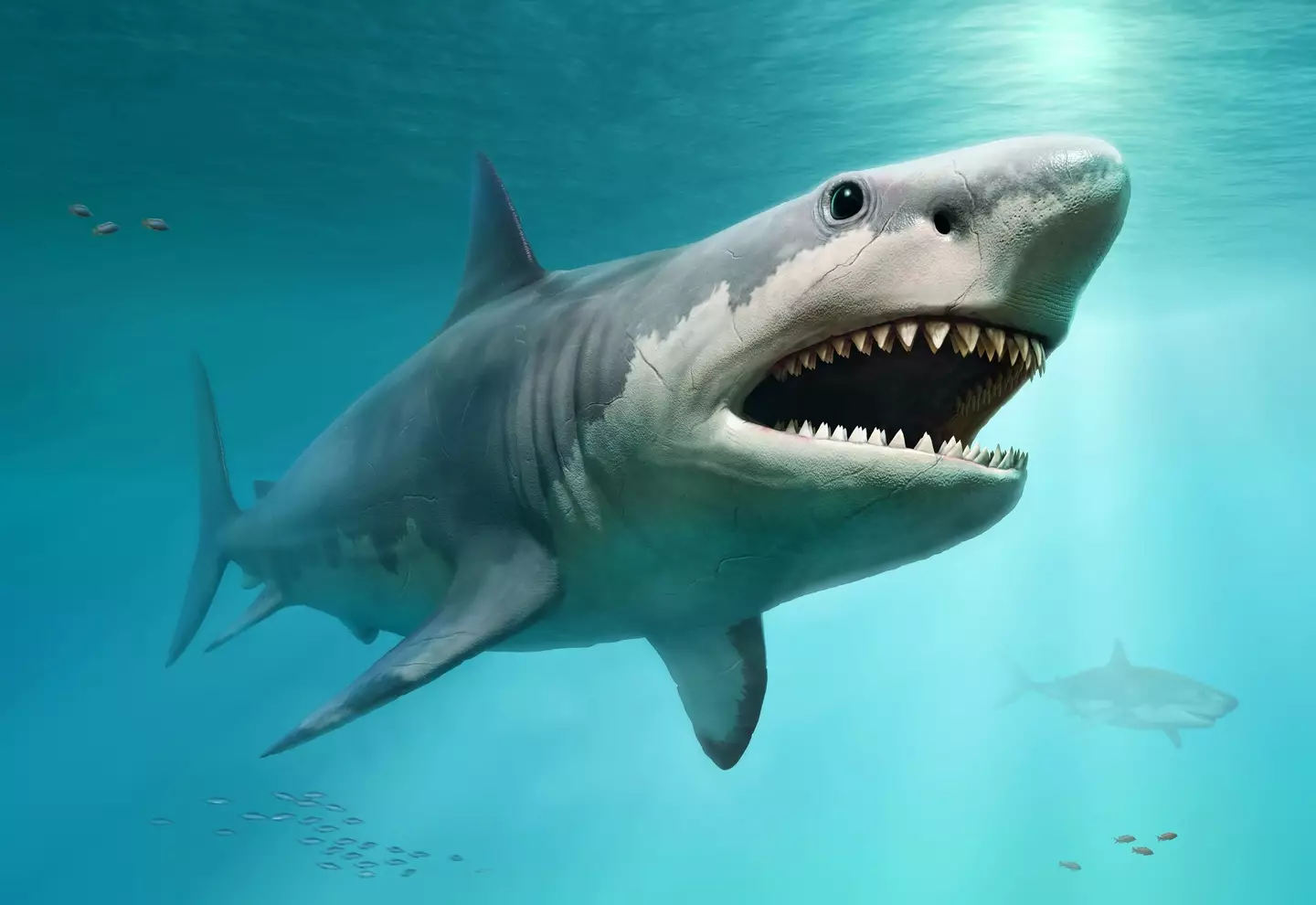 Scientists gave their verdict on the continued existence of the creature. (Getty stock images)