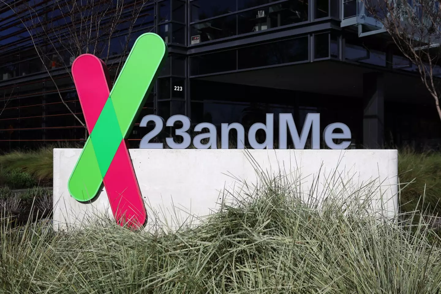 23andMe has filed Chapter 11, which means it's functionally bankrupt and sorting out its finances ahead of an attempt to find buyers (Justin Sullivan/Getty Images)