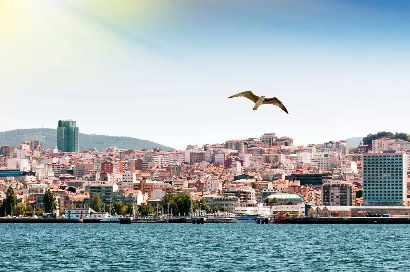 Skyscanner has seen a huge increase in bookings to Vigo.