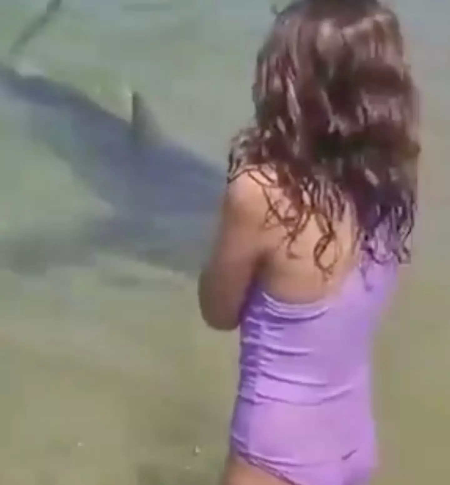 The shark was seen swimming concerningly close to a pair of children who were paddling at Olga Beach (X)