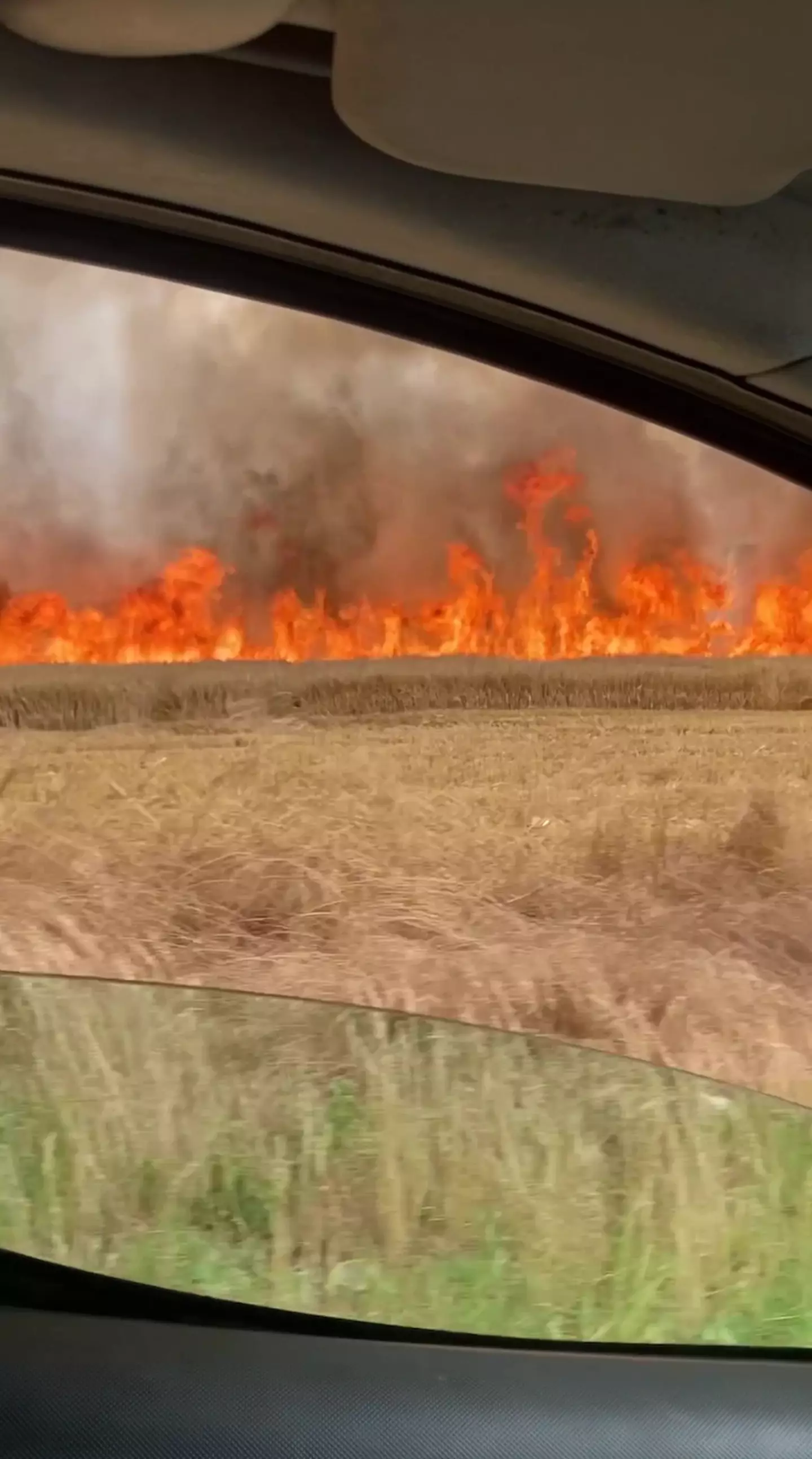 The brothers were met with a raging inferno along the A61.