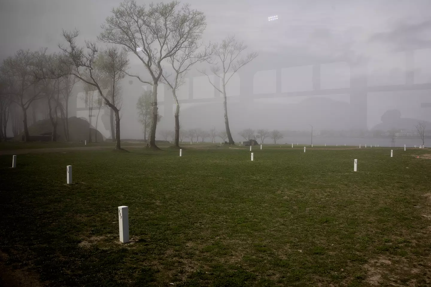 The graves are marked with a white post.