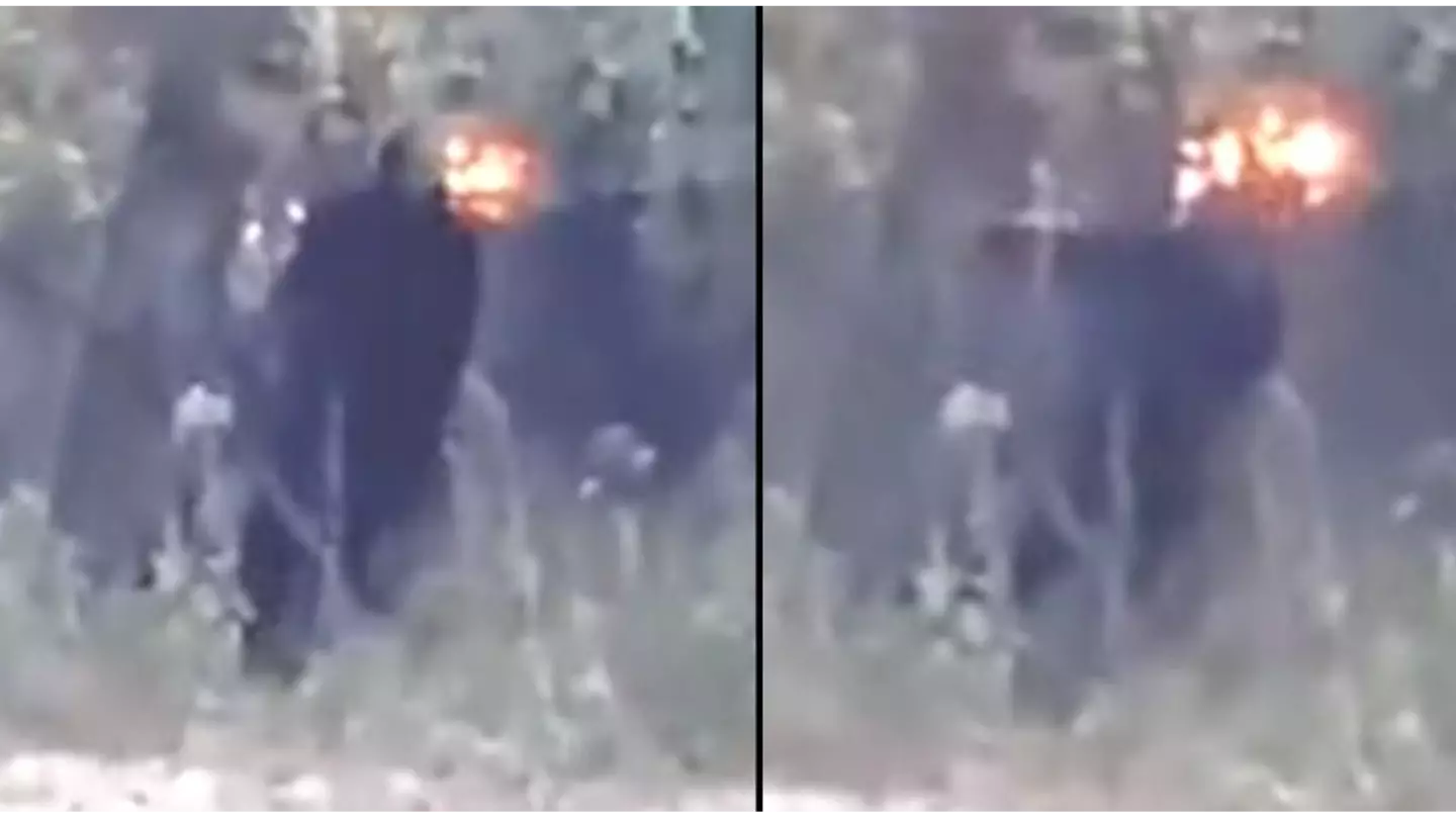 'New Bigfoot footage' shows sheer size of beast in close-up sighting