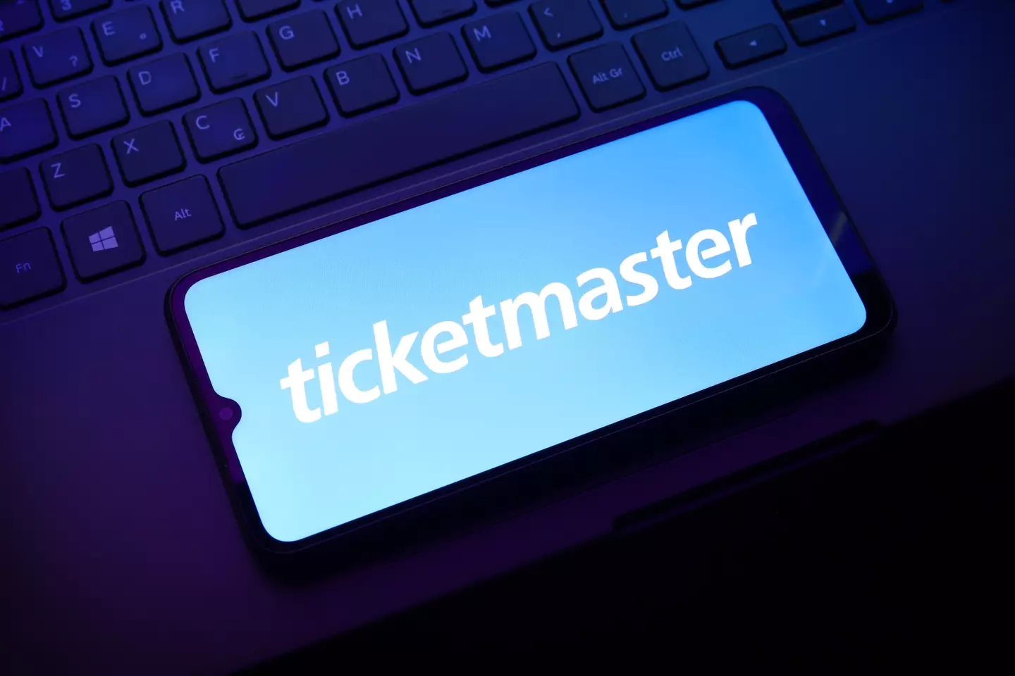Ticketmaster sent forms out to people so they could say they weren't bots. (Jaque Silva/NurPhoto via Getty Images)