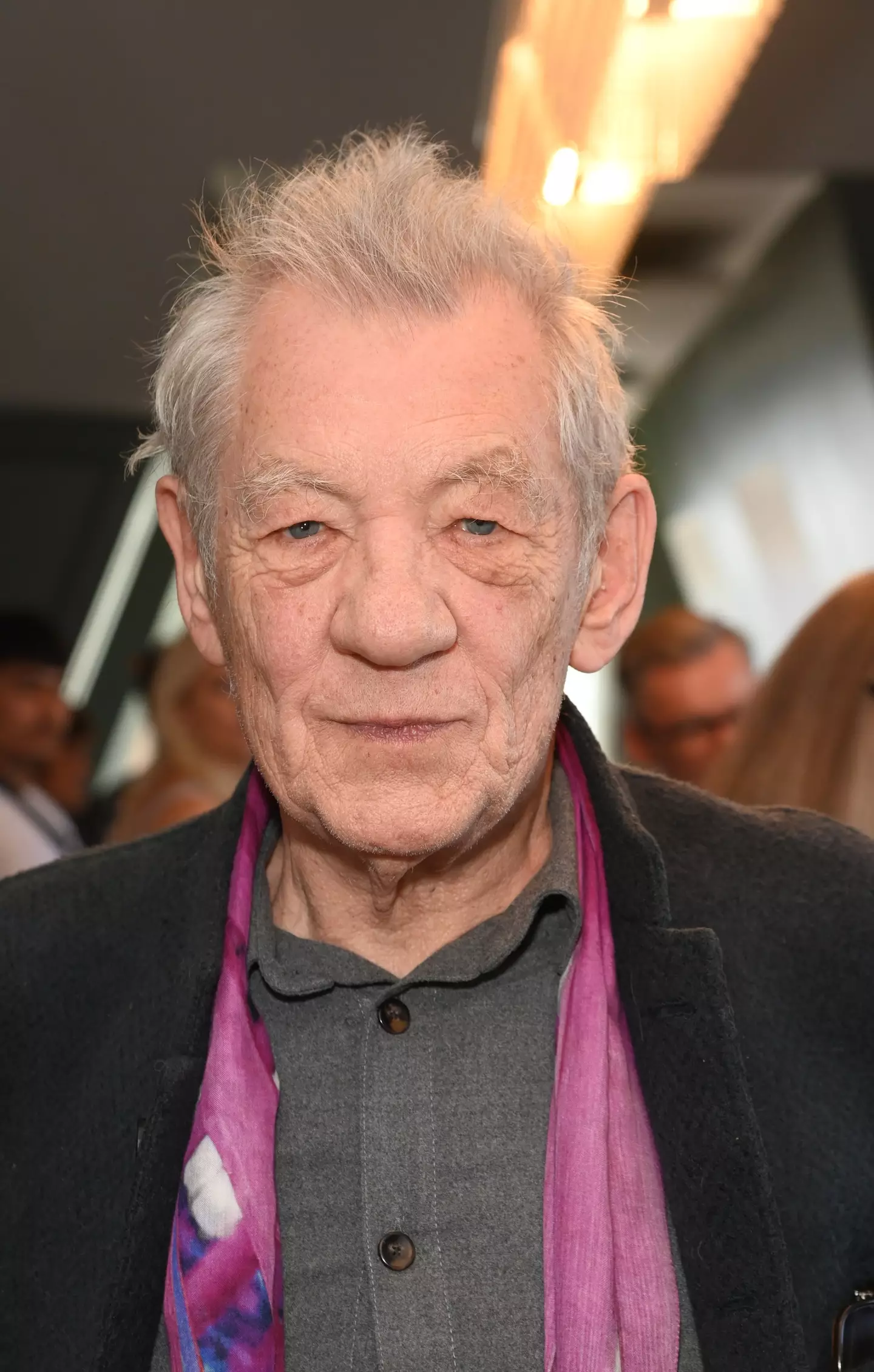 Sir Ian McKellen revealed why he decided to turn down the role of Dumbledore in Harry Potter.