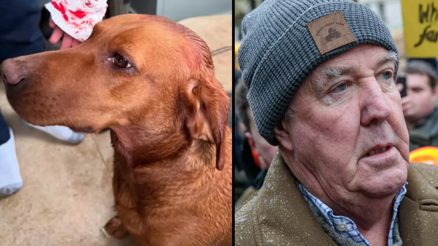 Instagram / @‌jeremyclarkson1 / Mark Kerrison / In Pictures via Getty Images