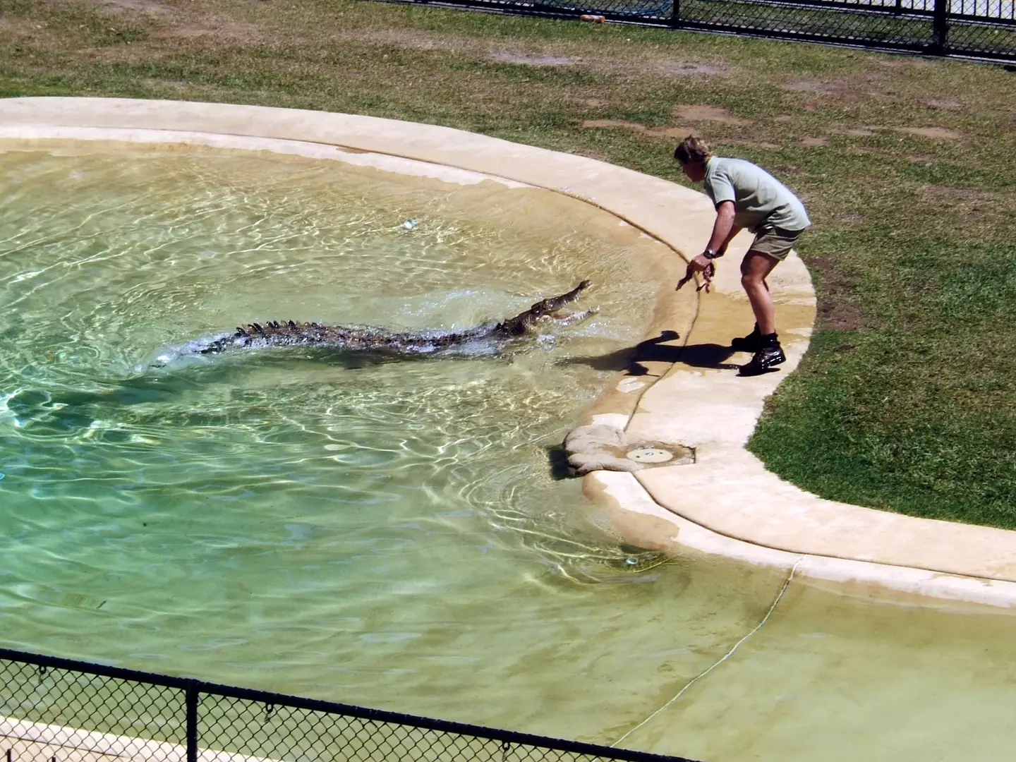 Robert is following in the footsteps of his late father, Steve Irwin.