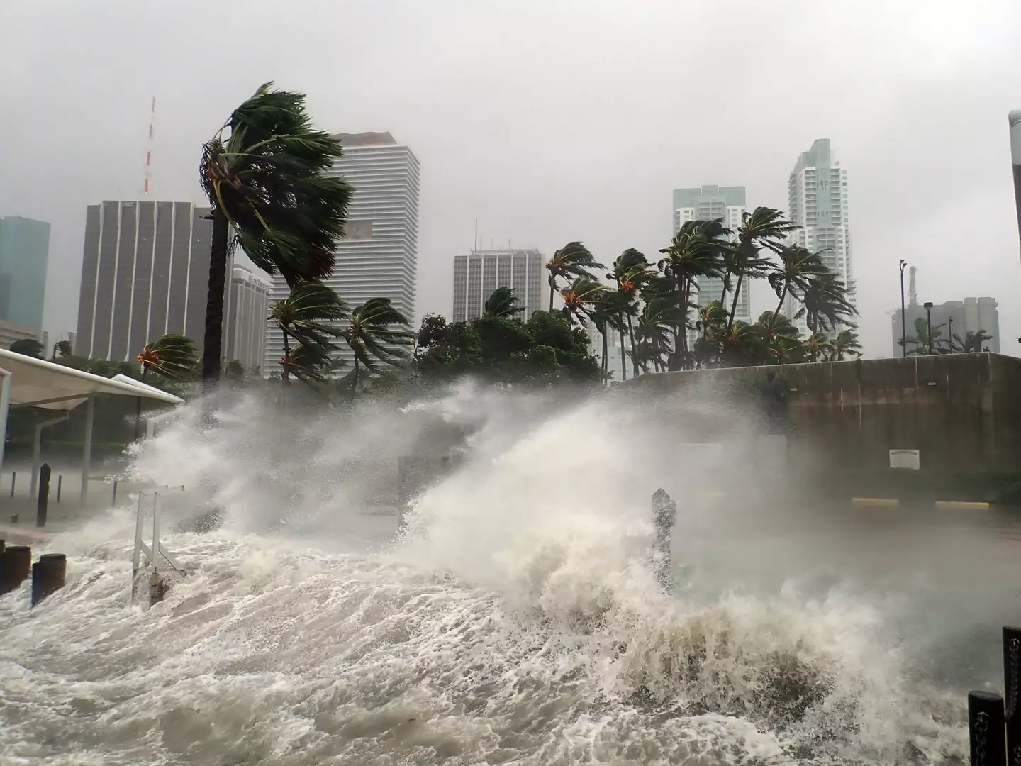Hurricane winds in the UK? Maybe not (Getty Stock Images)