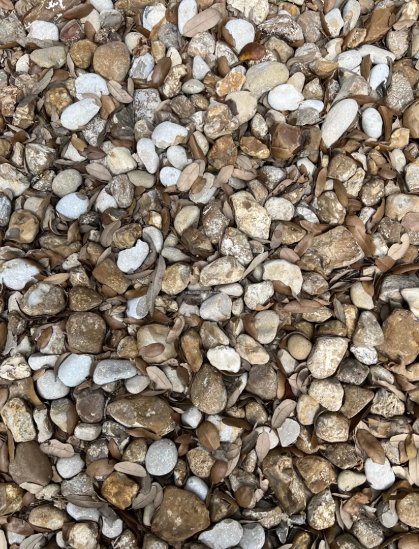 “I suck at this.” (Reddit/@raedcabello)