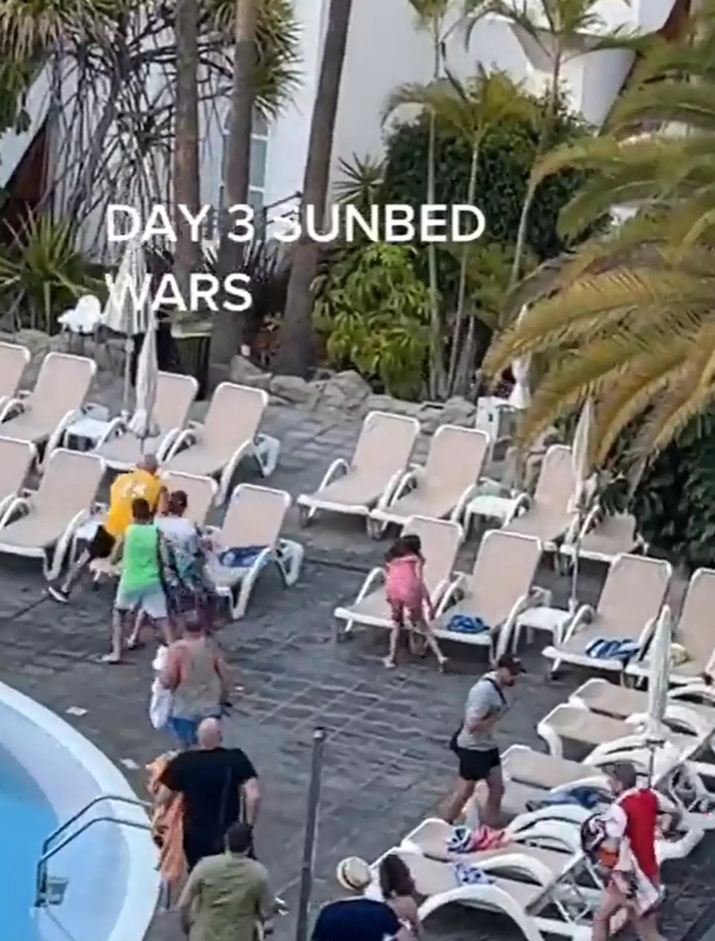 Check out yellow-top dude absolutely going for it.