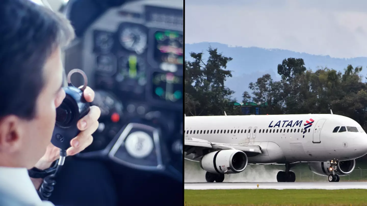 Plane forced to make emergency landing after pilot collapses and dies during flight