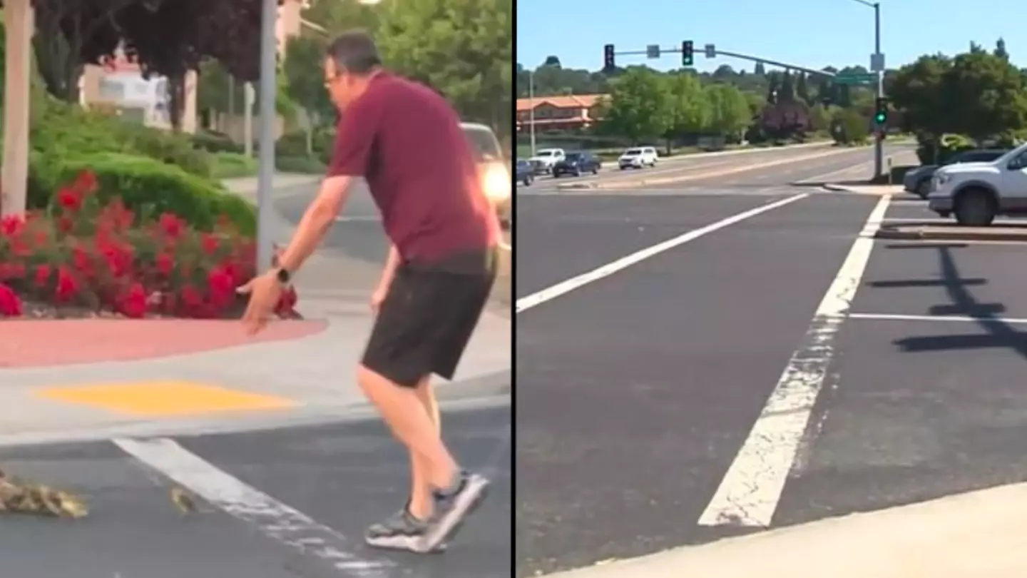 Heroic father hit and killed by car just moments after helping family of ducks cross road