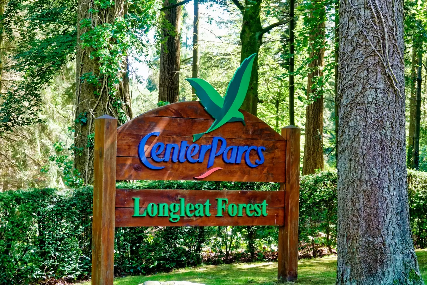 The incident took place at the Longleat Forest resort.