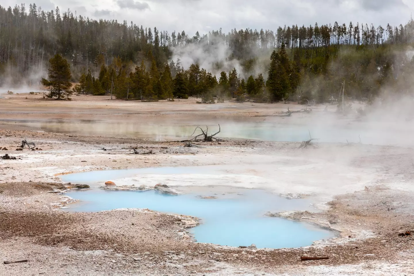 Yellowstone is known for its wildlife, geothermal geysers and surprisingly disturbing legal loopholes.