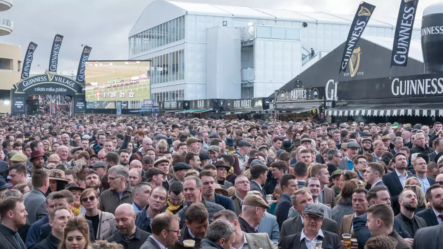 Shocking Cheltenham bar prices for 2025 revealed as punters set to drink 250,000 pints of Guinness