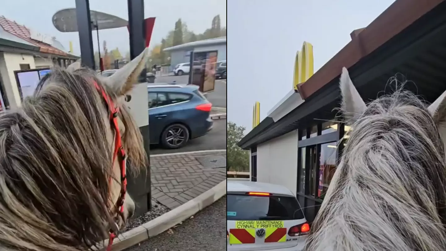 Man rides horse through McDonald's drive-thru to see if he'll still get served