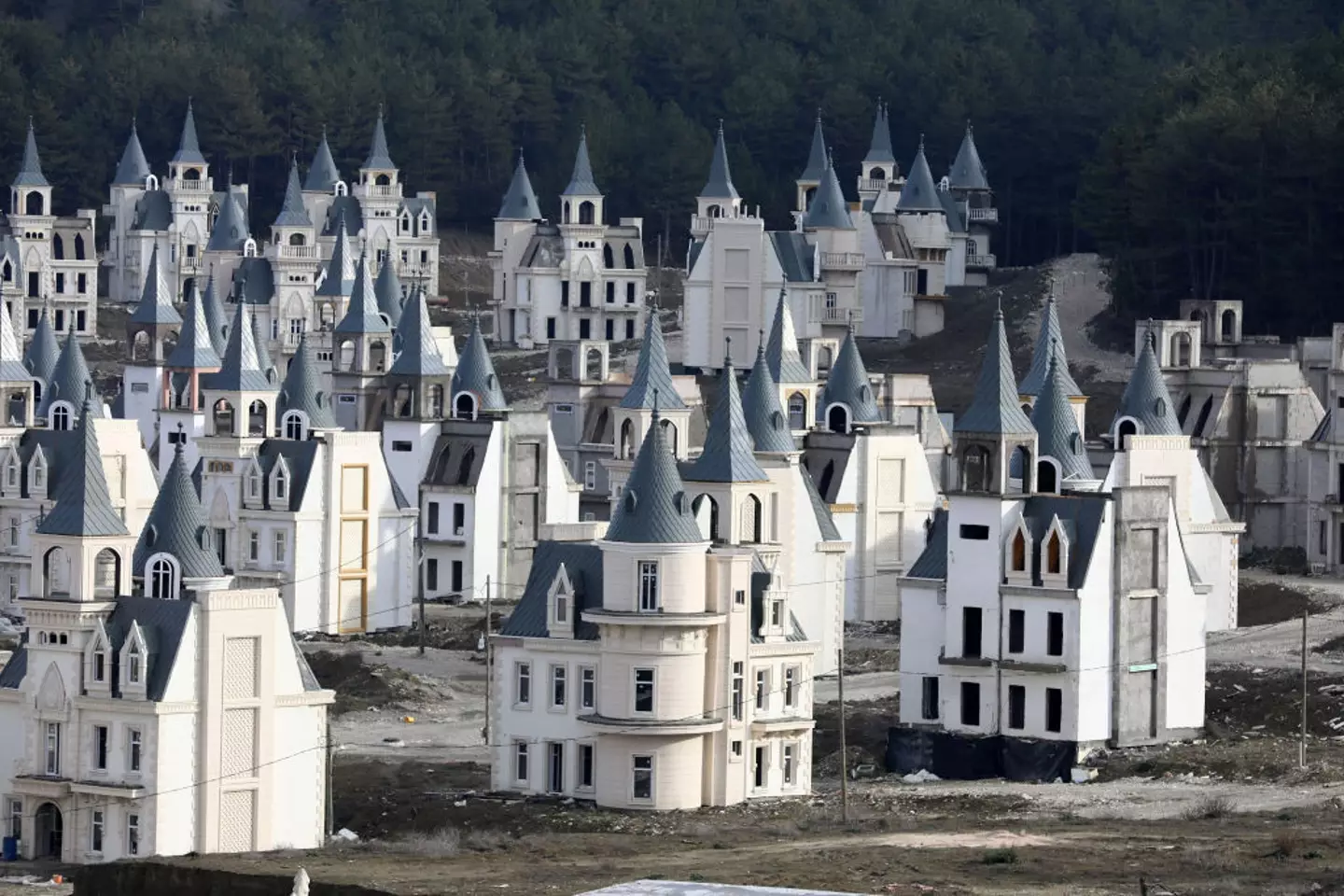 The mansions are located in Turkey's northwestern Bolu region (ADEM ALTAN/AFP via Getty Images)