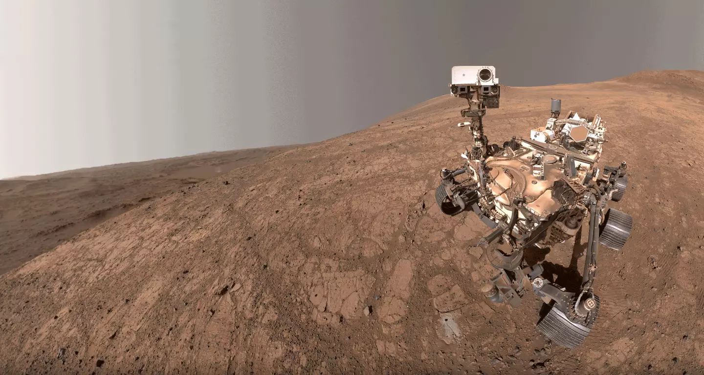 Samples might need to be dumped to make room for new discoveries (NASA/JPL-Caltech/MSSS)