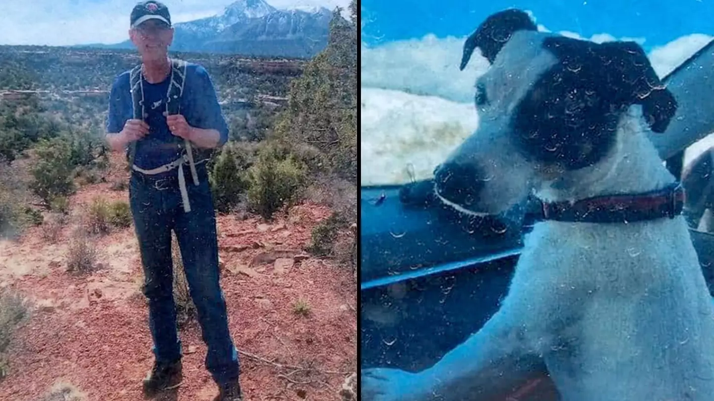 Hiker who’d been missing for months has been found dead with his beloved dog alive by his side