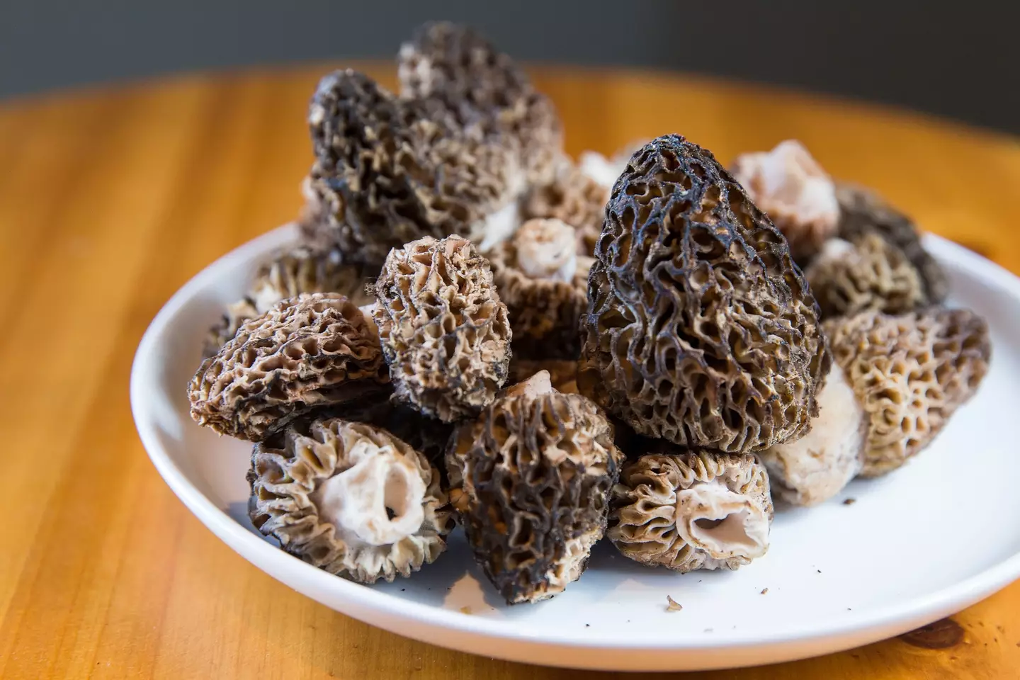 Morel mushrooms are fine to consume cooked, not raw. (Suzi Pratt / Getty Images)