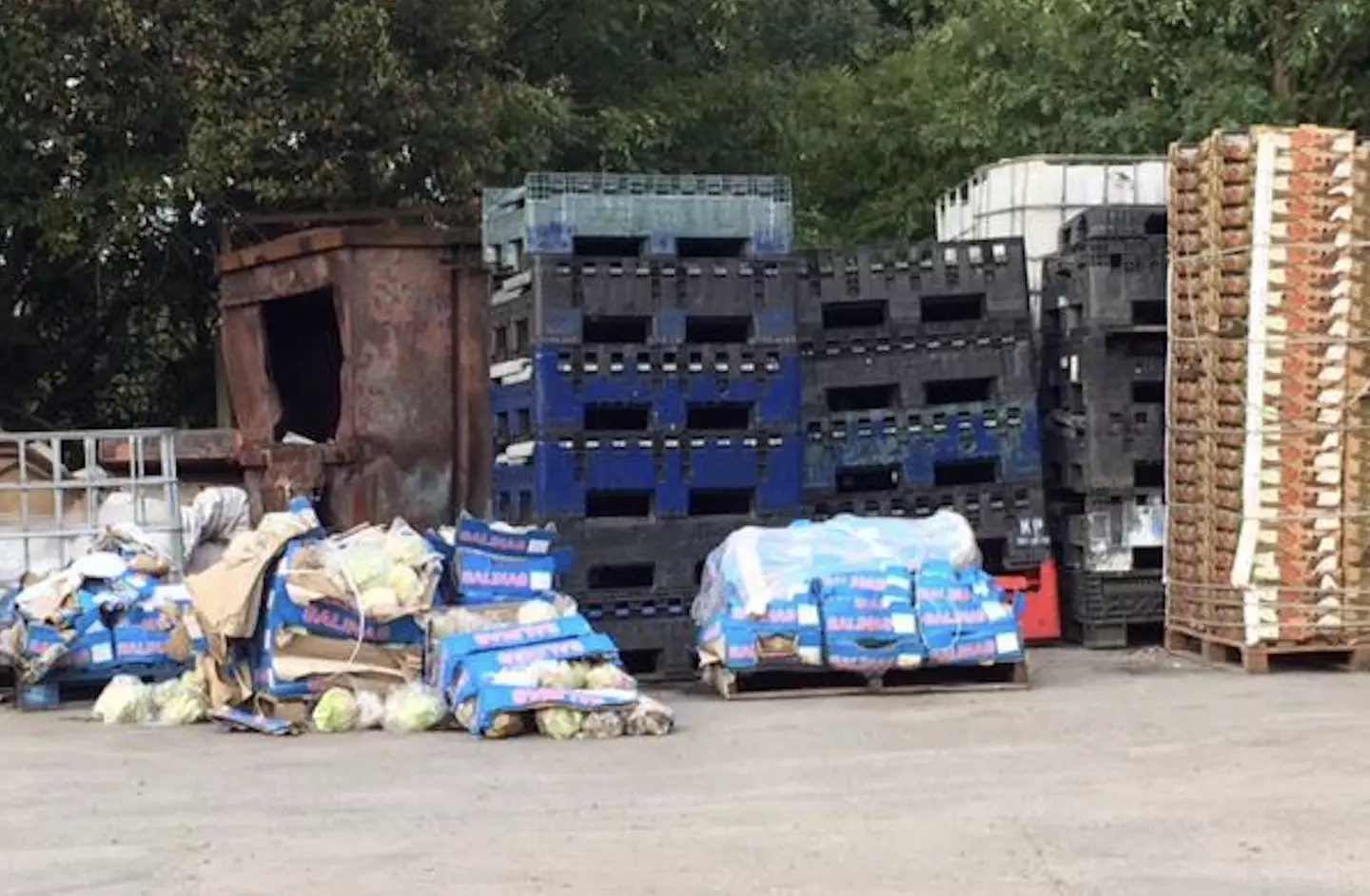 The gang smuggled vast quantities of drugs into the UK, hiding them inside deliveries of onions, garlic and ginger. (National Crime Agency/PA Wire)