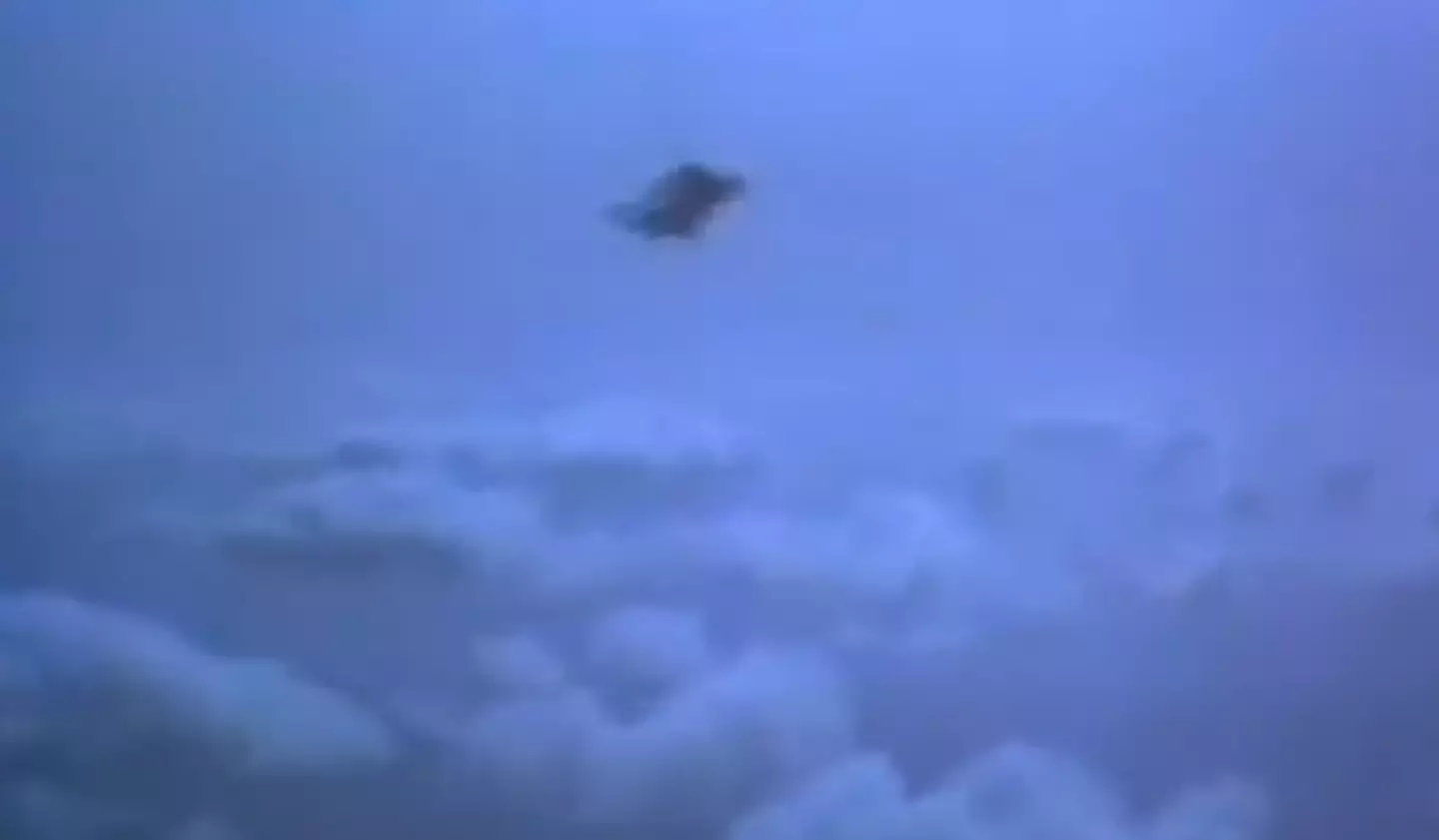 Ivan McGuire jumped out of the plane to film another skydive, only to realise he wasn't wearing a parachute (X/@Morbidful)