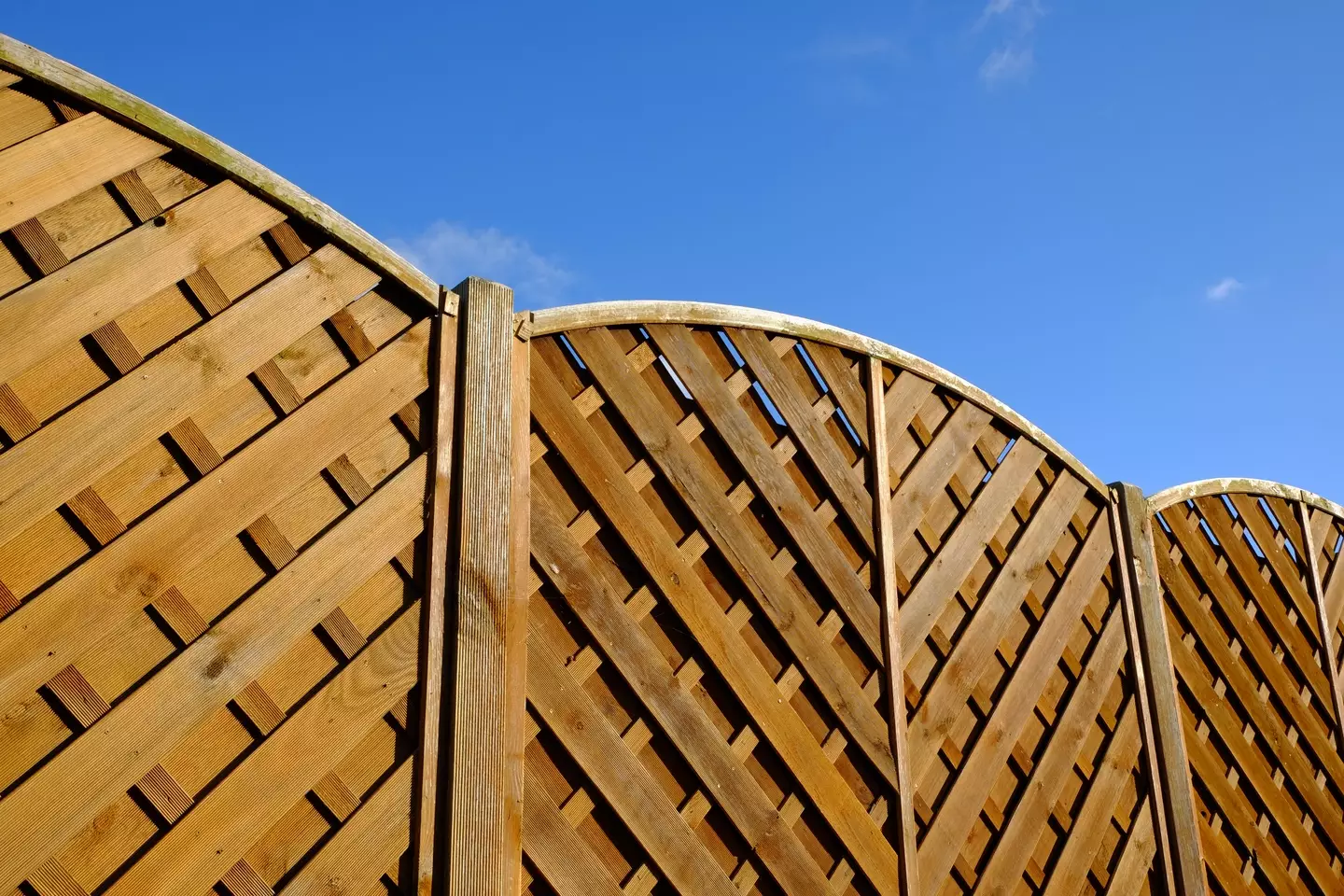 Shared garden fences are often the center of many neighbourly disputes.