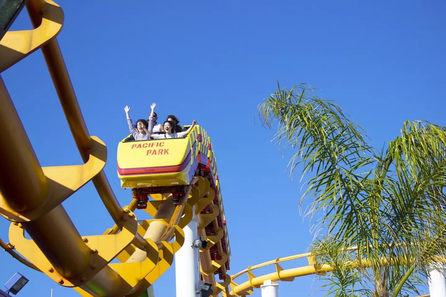 Rollercoasters are a lot of fun - but waiting for them can be long and time consuming.