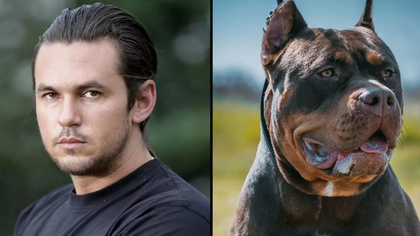 Top UK martial arts expert shares best way to fight off XL Bully attack