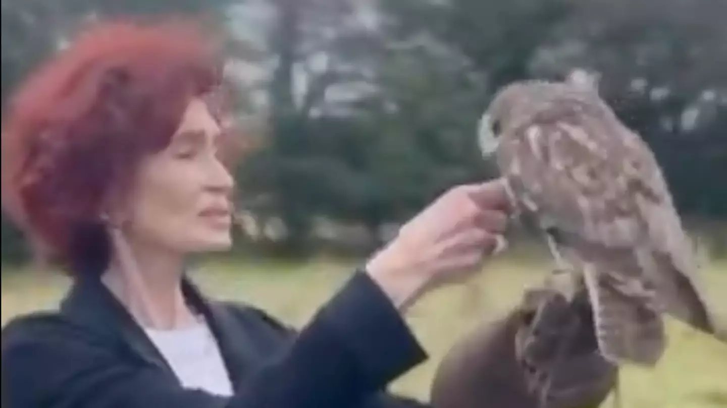 X/@MrsSOsbourne