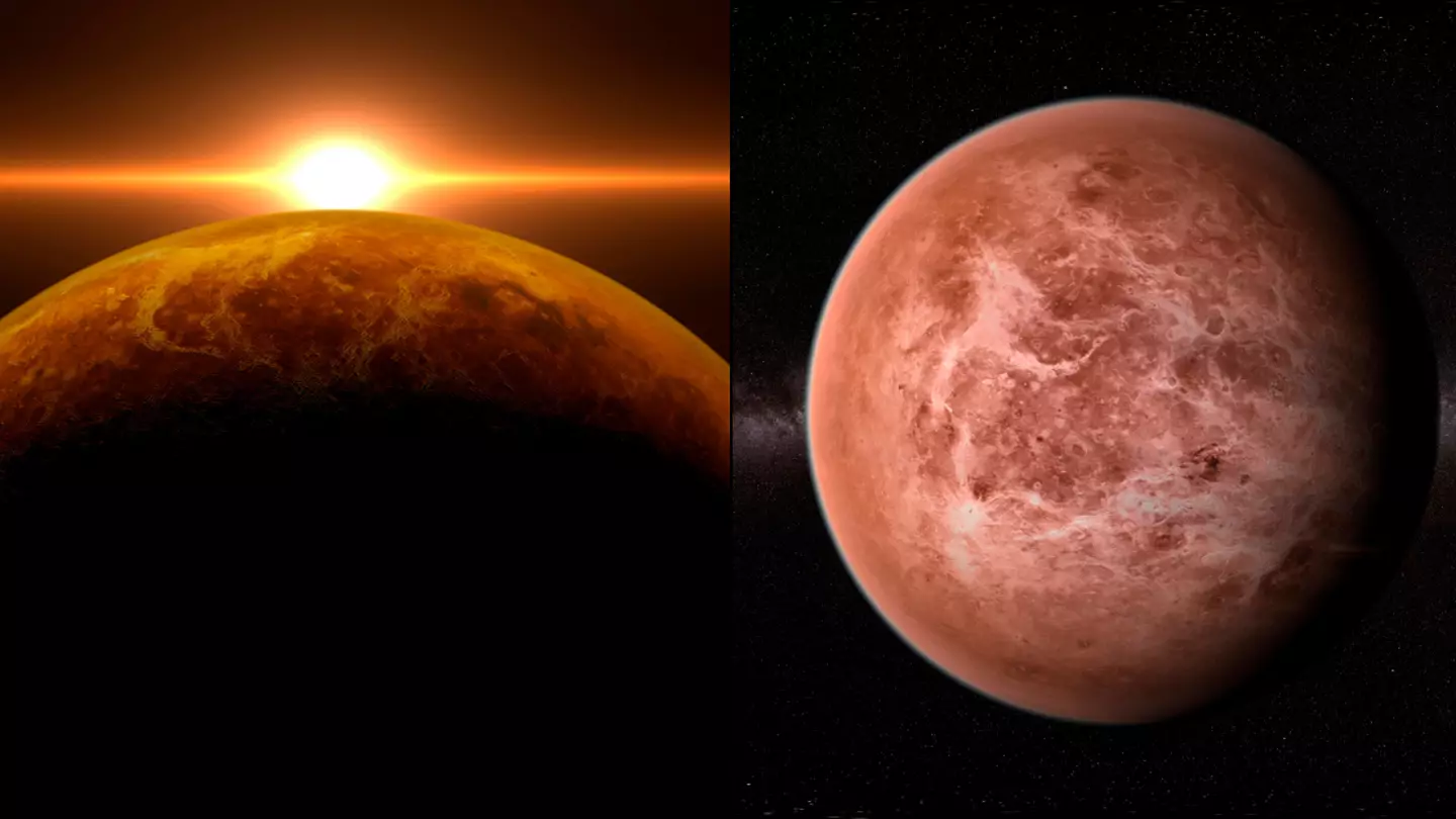 Possible signs of life detected on Venus as groundbreaking discovery made by astronomers
