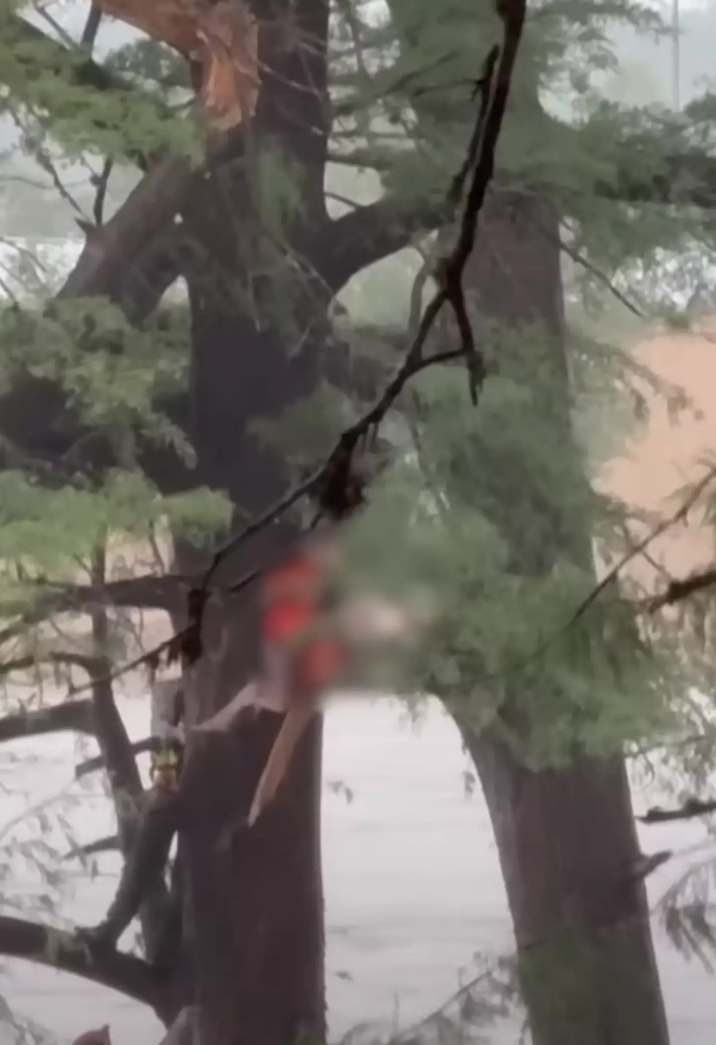 The moment the woman was rescued by authorities (KENS5)