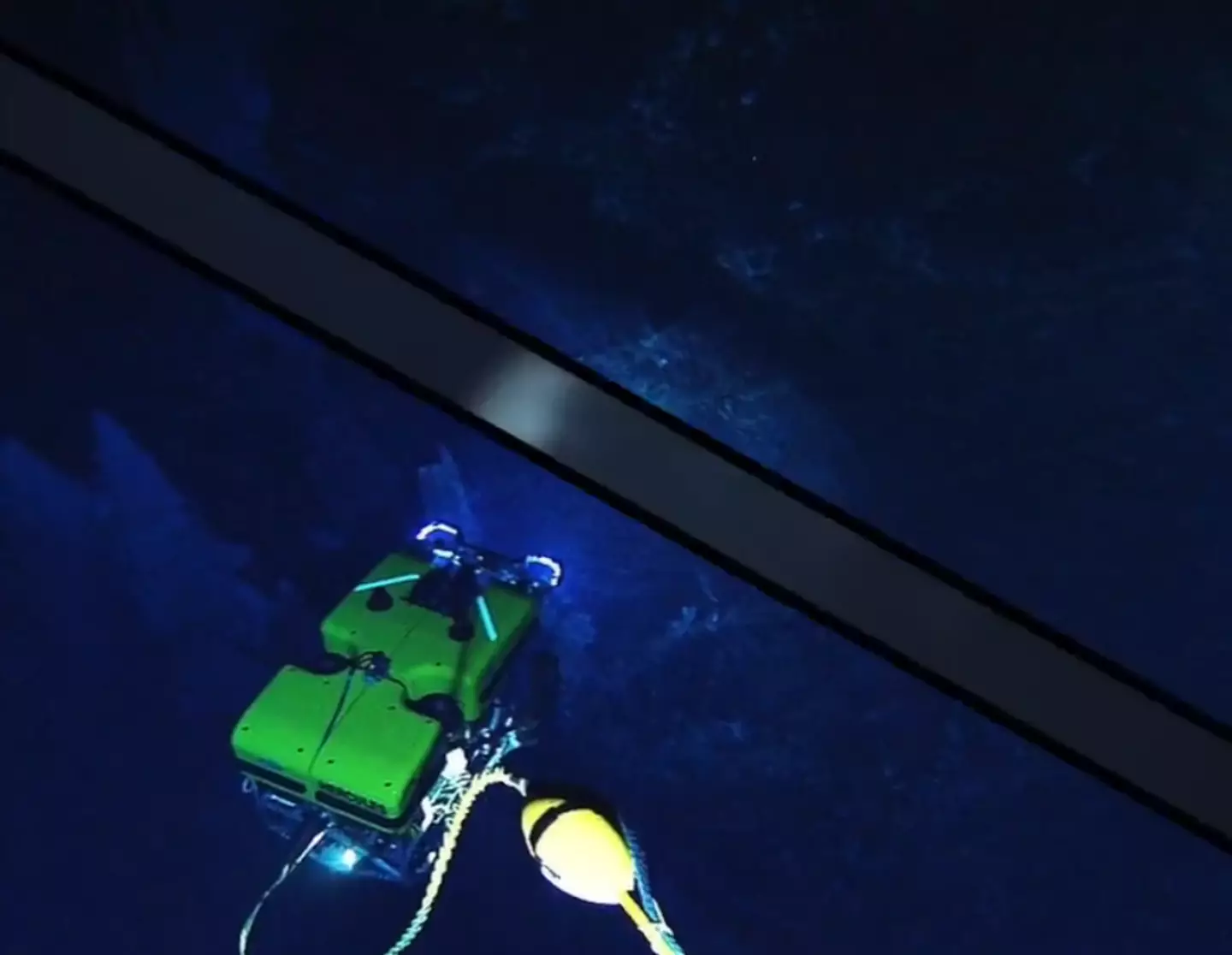 The environment was only discovered 24 years ago (Open Ocean Exploration)