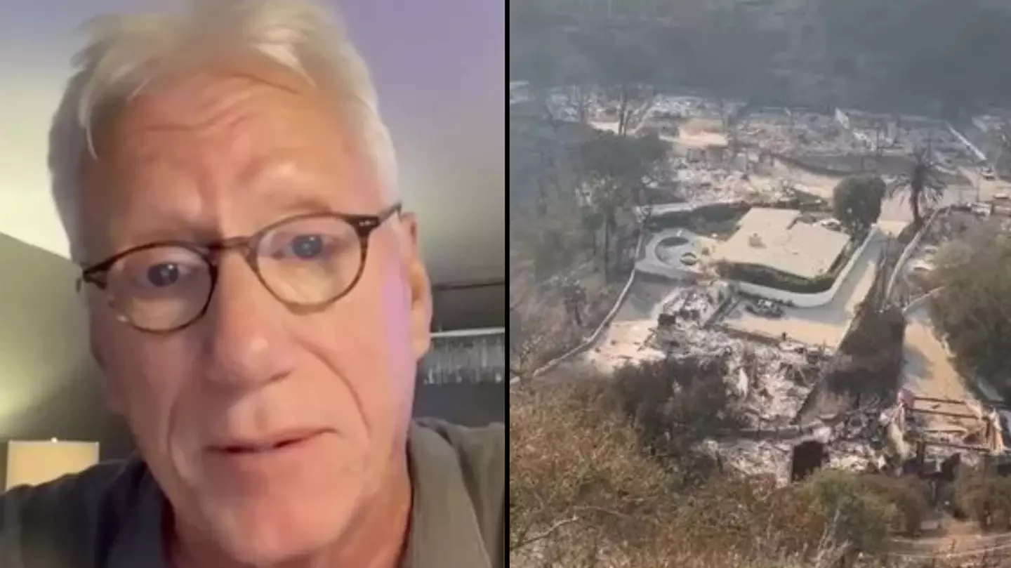Actor James Woods speaks out after 'miracle' saw his house survive destructive LA wildfires