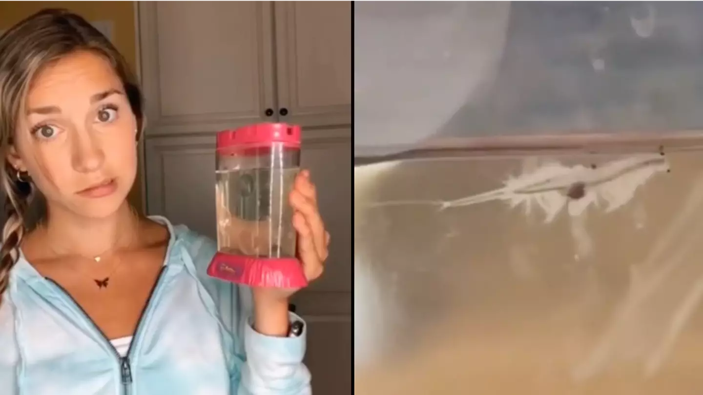 Woman shares sad reality of what happened to Sea Monkeys after 123 days