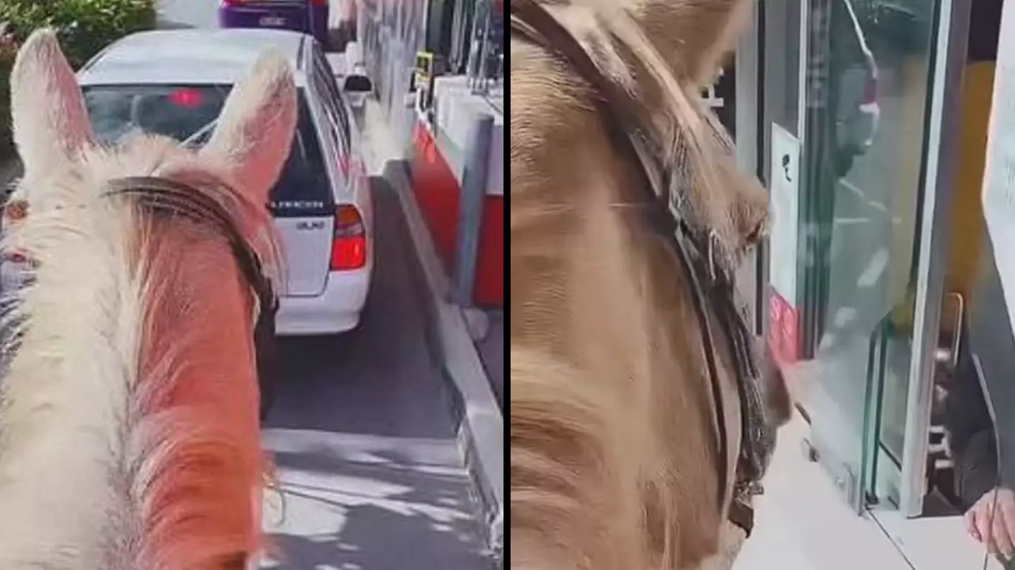 Woman rides horse through McDonald's drive-thru as stunned staff look on