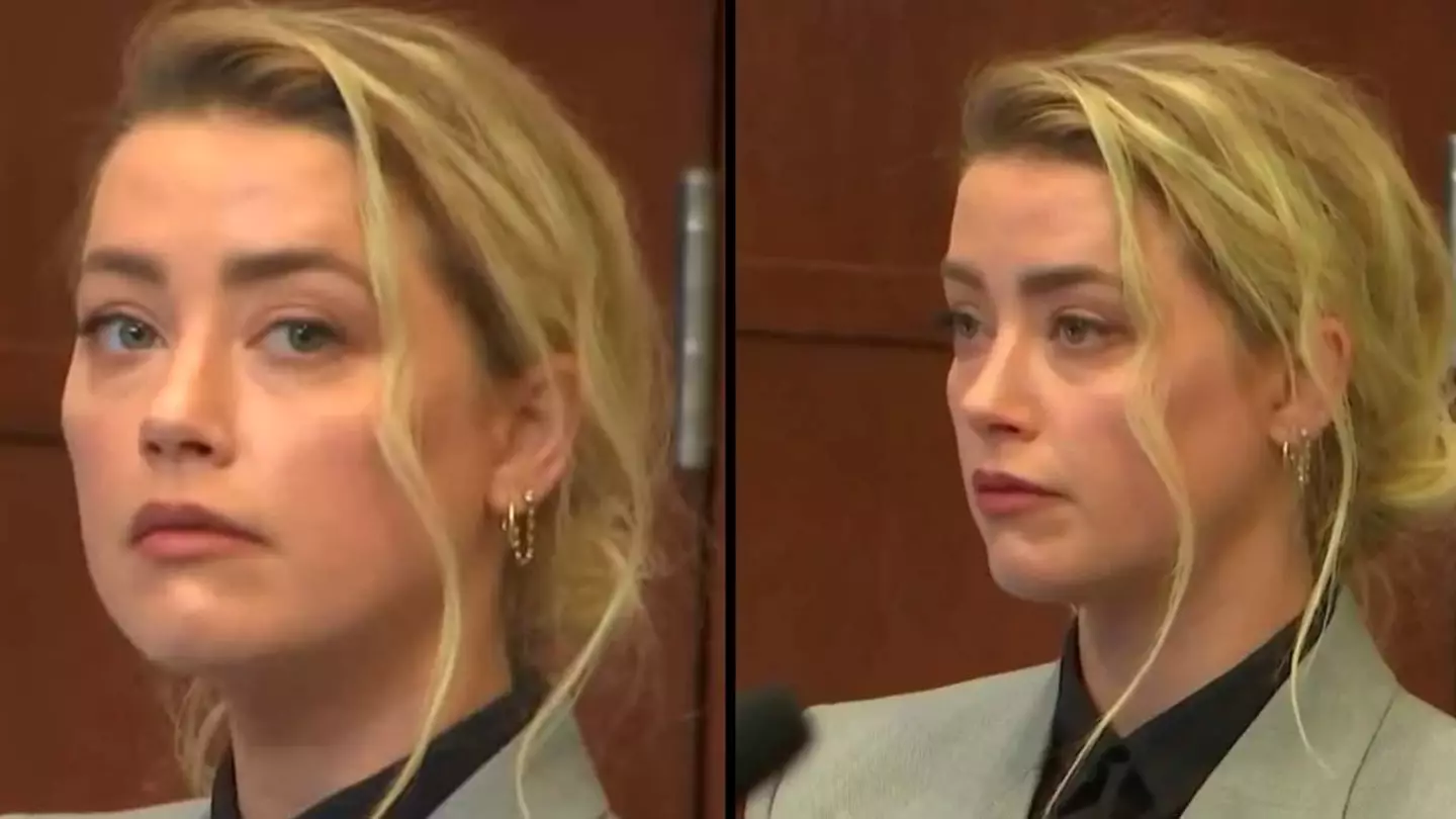 Amber Heard Didn't Fulfil $3.5 Million Pledge She Made To Nonprofit Organisation, Court Hears