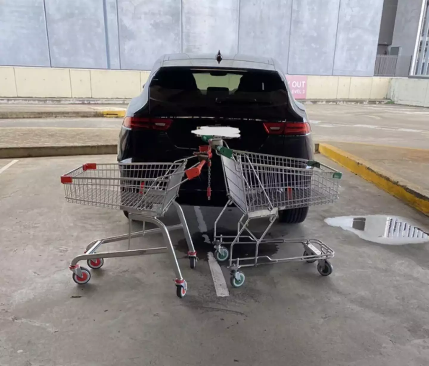 Shoppers used trolleys to get their revenge.