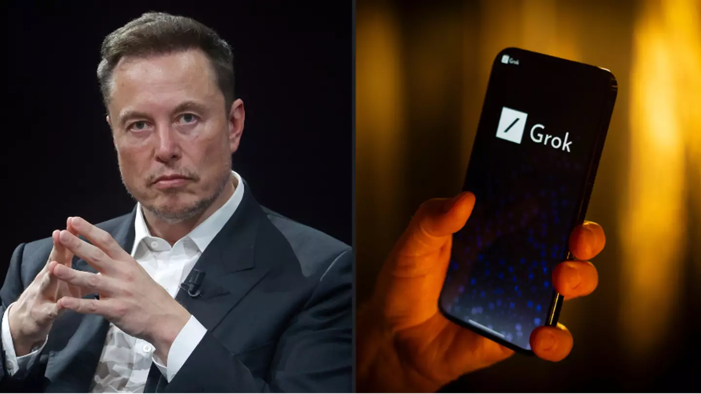 Elon Musk's new artificial intelligence chatbot Grok has absolutely roasted the billionaire