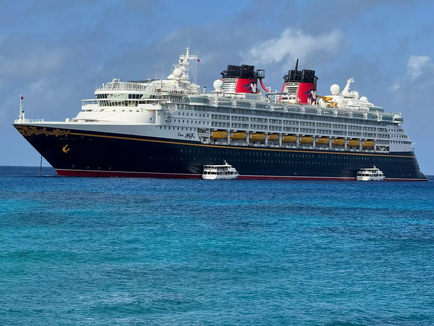 Disney cruises sail across the world and are loved by enthusiasts of the business and its movies (DANIEL SLIM/AFP via Getty Images)