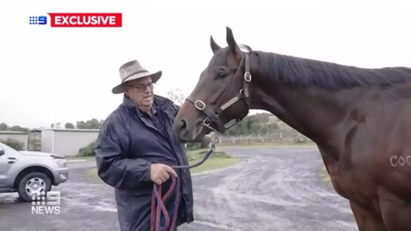 The millionaire has never met his horse trainer, Rex Lipp.