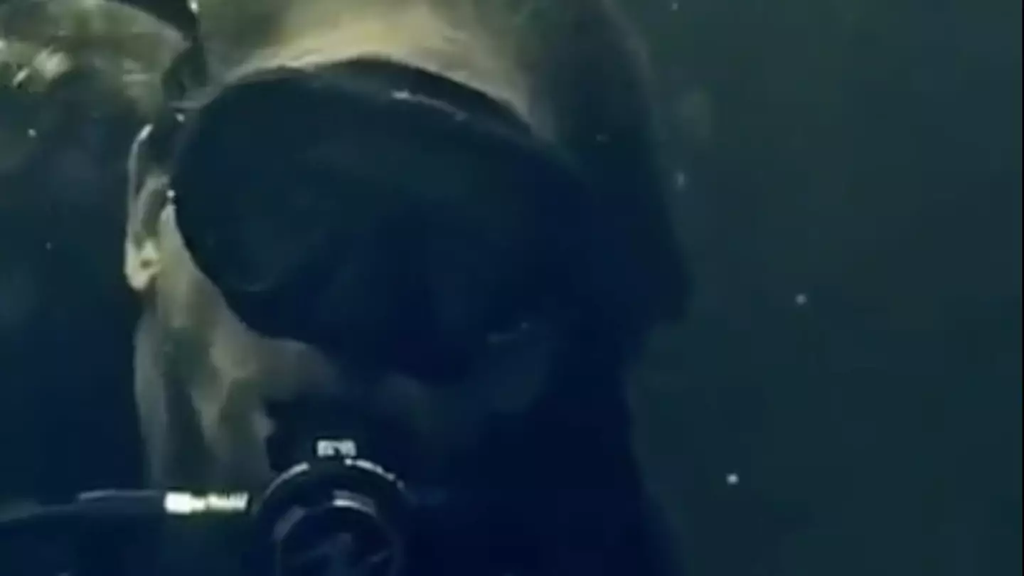 Man who chose to live underwater for 100 days to see what would happen to his body reveals shocking impact it had