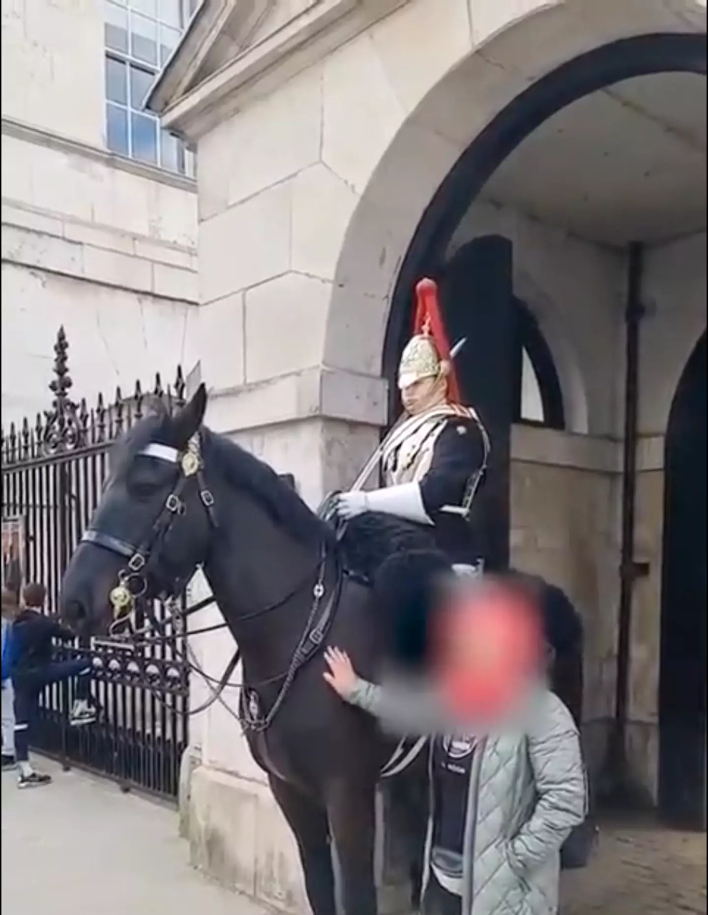 After she's told off by the police officer, she goes back to petting the horse.