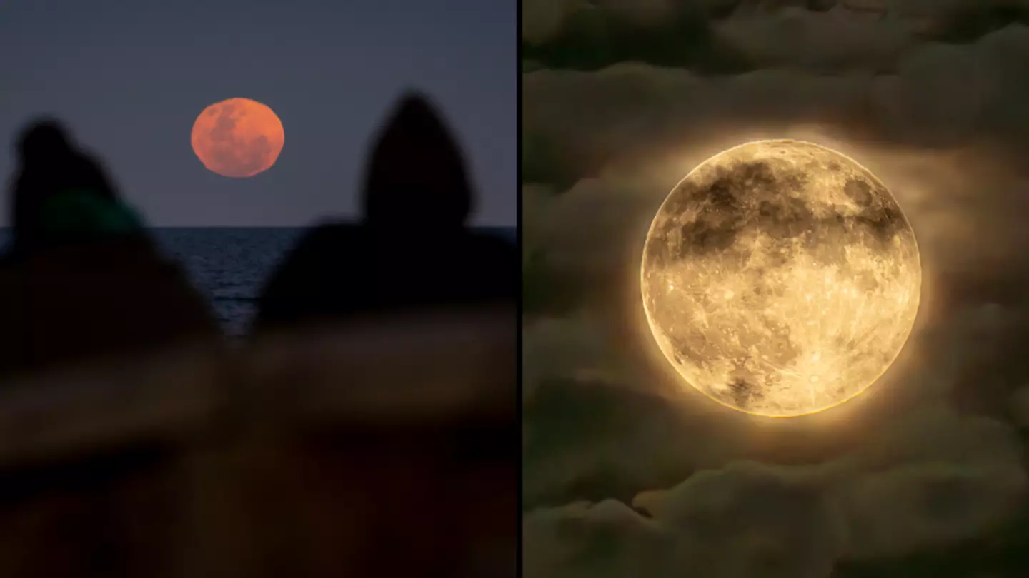 Incredible photos show the extremely rare super blue moon rising around the world