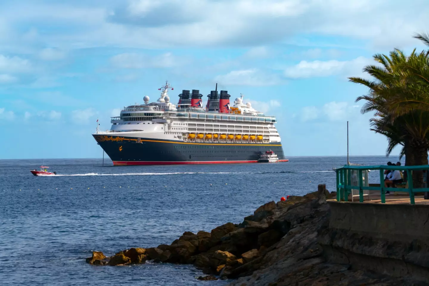 Disney has urged passengers to give at least 60 days notice if they require to bring their service animal (AaronP/Bauer-Griffin/GC Images)