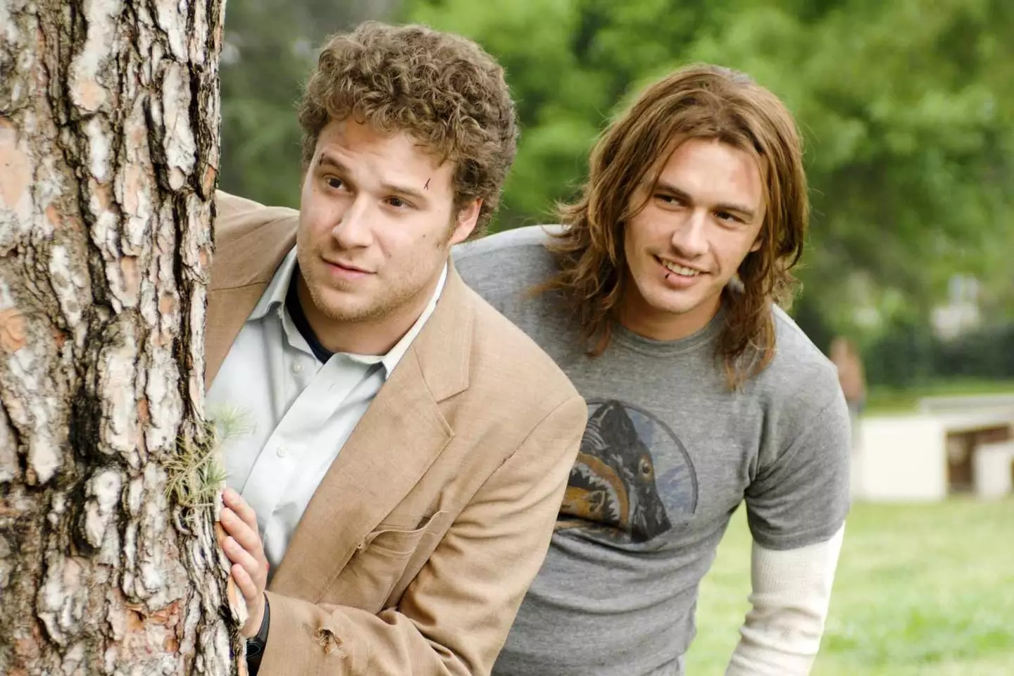 The pair starred in Pineapple Express together (Sony)