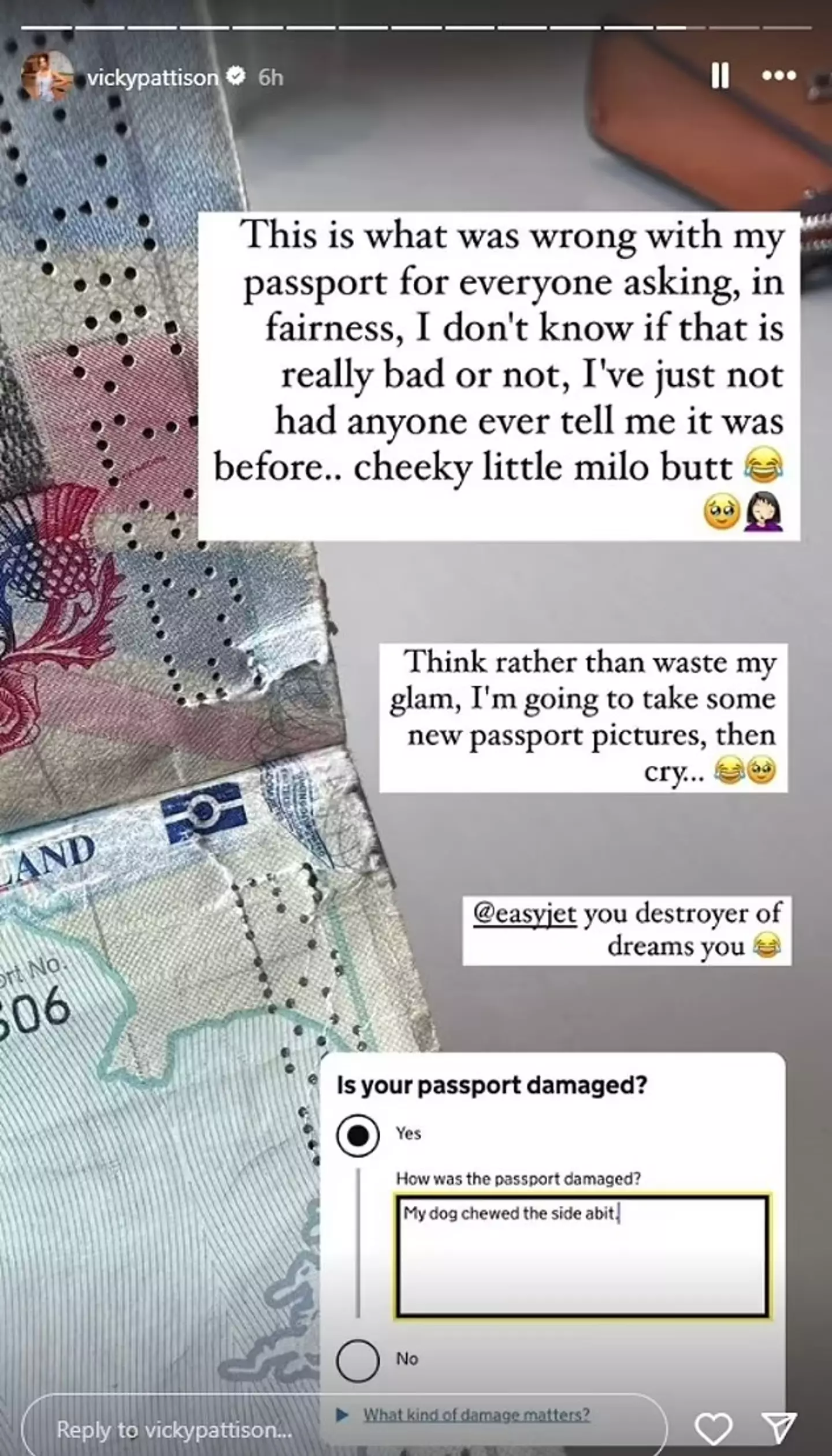 Pattison shared a photo of the damage her dog has done to her passport (Instagram/@vickypattison)