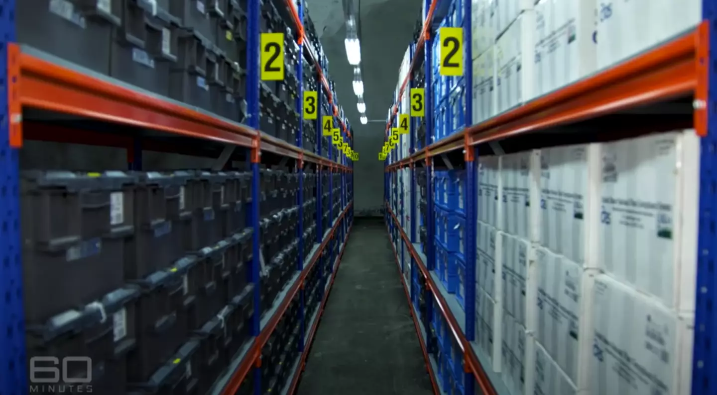 There's a lot of seeds.