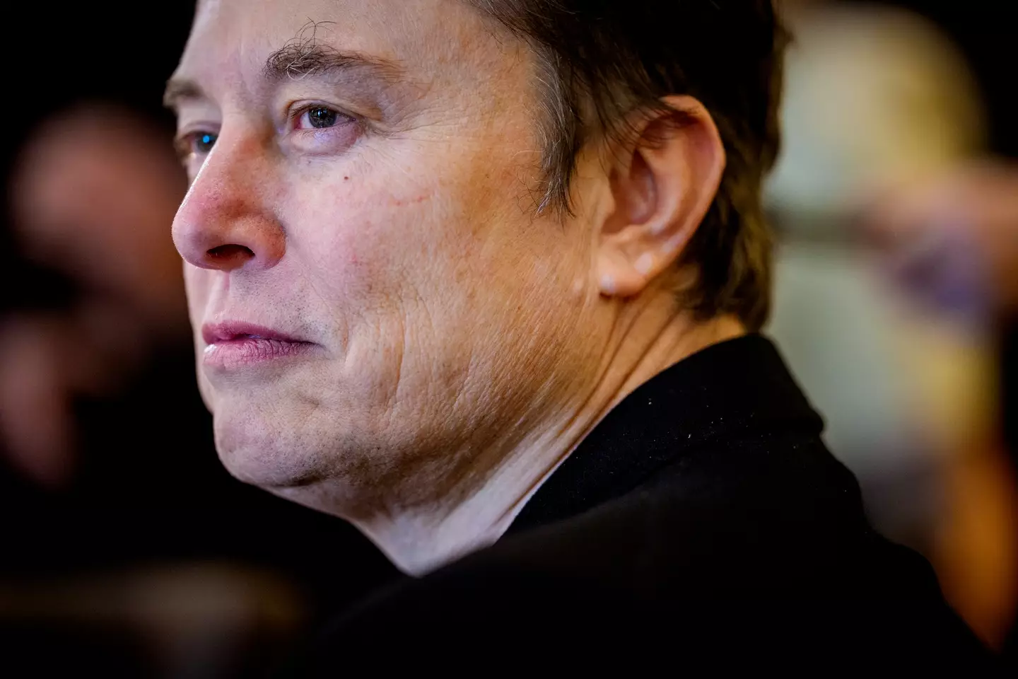 Musk has said he was invited to Epstein's island but refused the offer (Andrew Harnik/Getty Images)